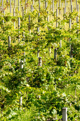 Similar image 21687467