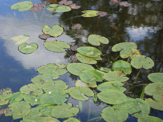 Similar image 21692896