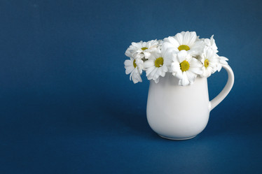 Similar image 21688361