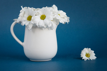 Similar image 21687983