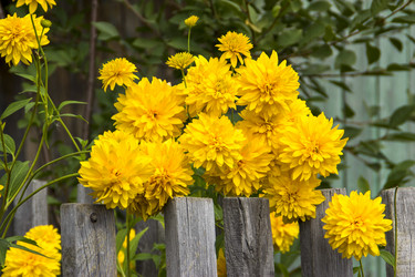 Similar image 21693260