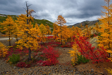 Similar image 21687471