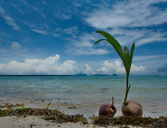 Similar image 21688202