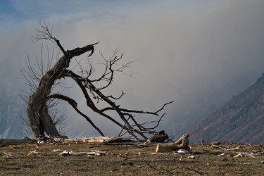 Similar image 21688204