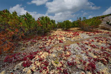 Similar image 21687474