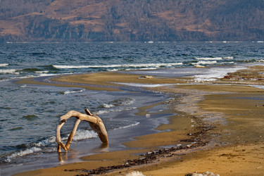 Similar image 21688205