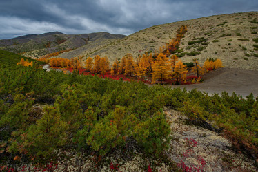 Similar image 21687475