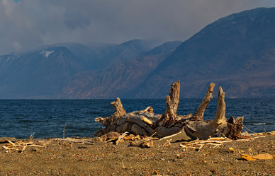 Similar image 21688206