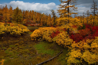 Similar image 21687476