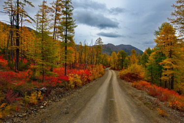 Similar image 21687477