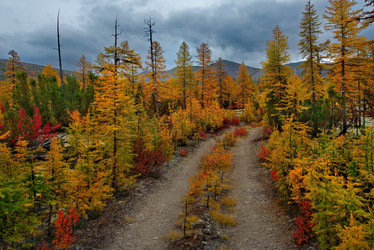 Similar image 21687478