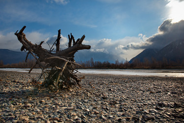 Similar image 21688207