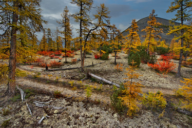 Similar image 21687479