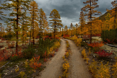 Similar image 21687480