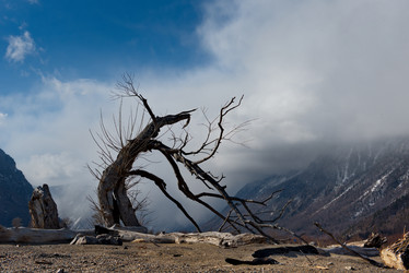 Similar image 21688209