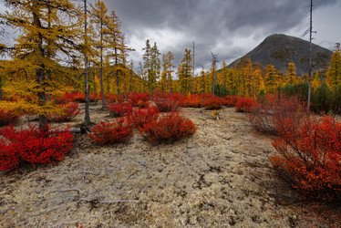 Similar image 21687481