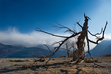 Similar image 21688210