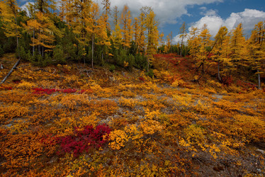 Similar image 21687482