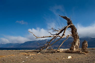 Similar image 21688211