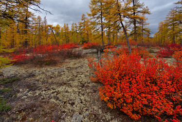 Similar image 21687483