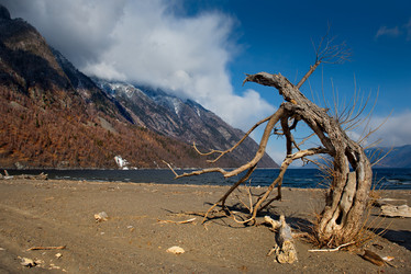 Similar image 21688212