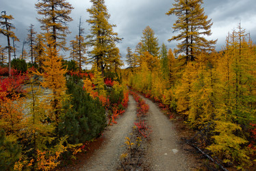 Similar image 21687484