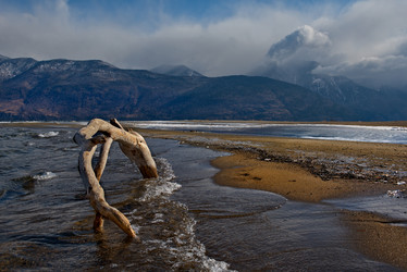 Similar image 21688213