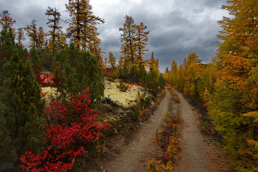 Similar image 21687485