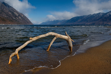 Similar image 21688214