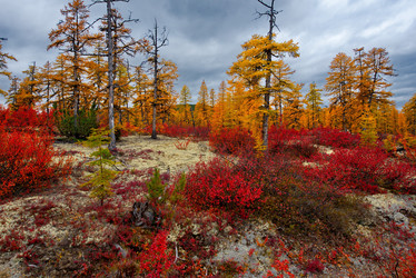 Similar image 21687486