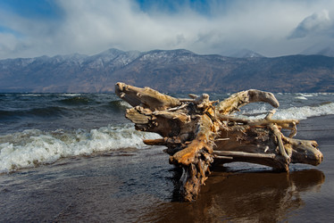 Similar image 21688218