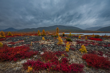 Similar image 21687491