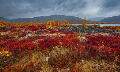 Similar image 21687492