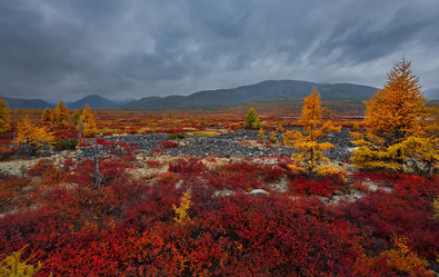 Similar image 21687493