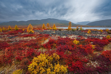 Similar image 21687494