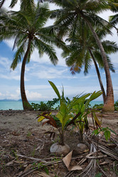 Similar image 21688223