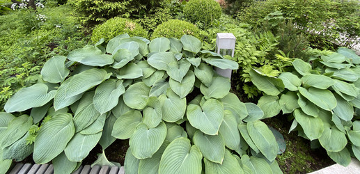 Similar image 21693263