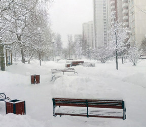 Similar image 21693481