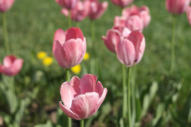 Similar image 21693493