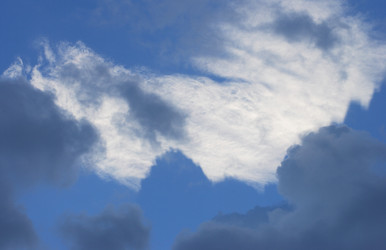 Similar image 21693501