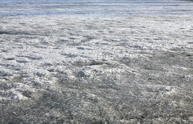 Similar image 21693502