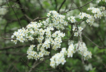 Similar image 21693506