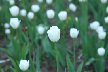 Similar image 21693508