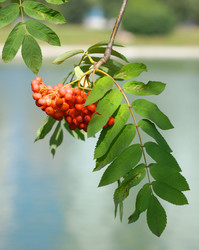 Similar image 21693510