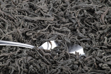 Similar image 21693638