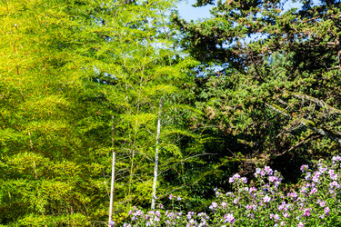 Similar image 21687496