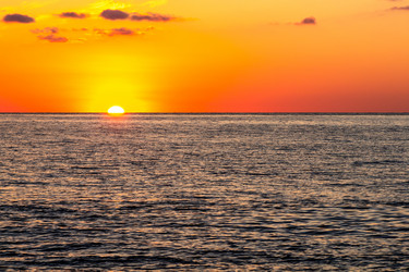 Similar image 21687500