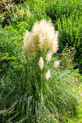 Similar image 21687519