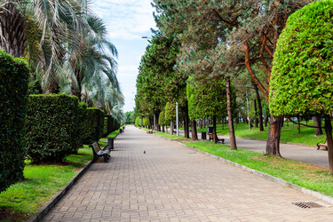 Similar image 21687526