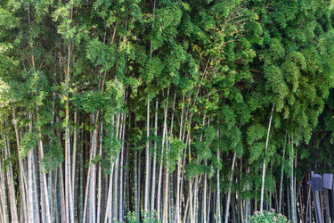 Similar image 21687530